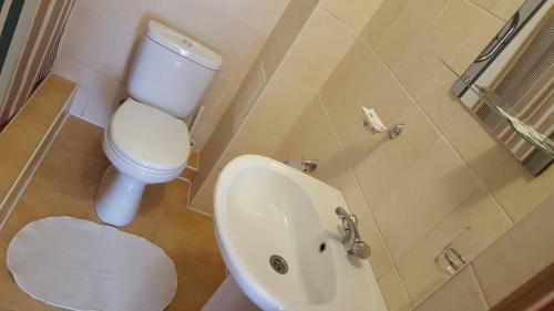 Hotel Darya