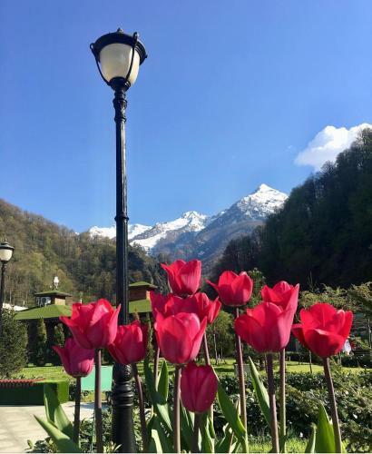 Apartment On Klubnichnaya 76