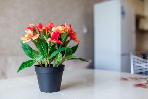 Apartamento Zhk Odesskiy