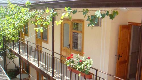 Hostal Guest House Alena