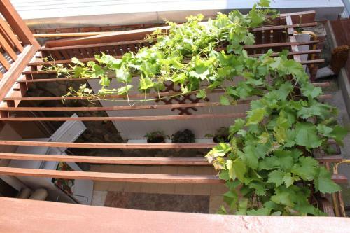 Hostal Eliseevsky Guest House