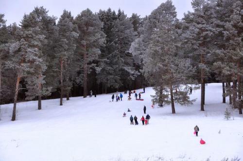 Zvenigorodsky Resort