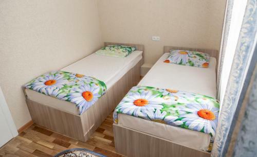 Albergue Baliz