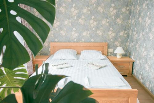 Hostal Guest House Colibri Beach