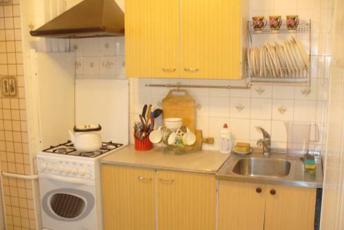 Apartment In Centre On Andreya Gubina