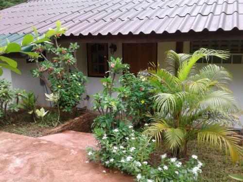 Bed & Breakfast Ban Paja