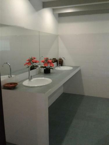 Bed & Breakfast Ban Paja