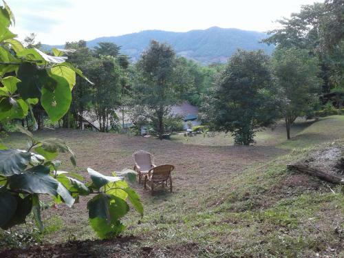 Bed & Breakfast Ban Paja