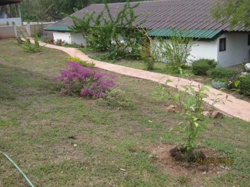 Bed & Breakfast Ban Paja