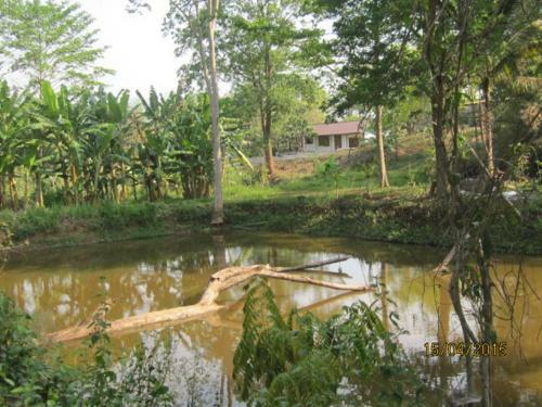 Bed & Breakfast Ban Paja