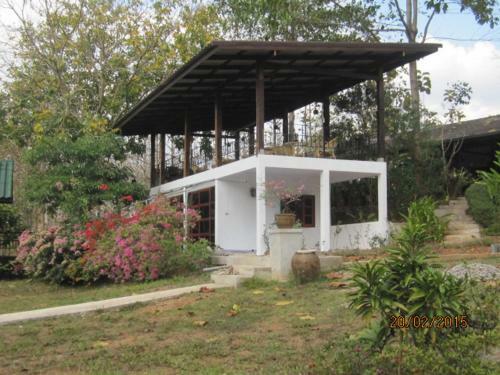 Bed & Breakfast Ban Paja