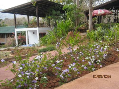 Bed & Breakfast Ban Paja