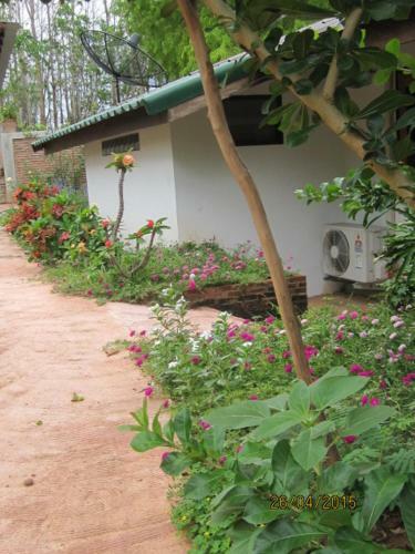 Bed & Breakfast Ban Paja
