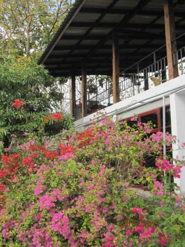 Bed & Breakfast Ban Paja