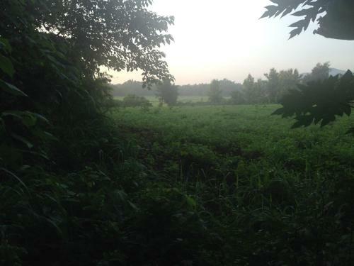 Loei Airport Homestay