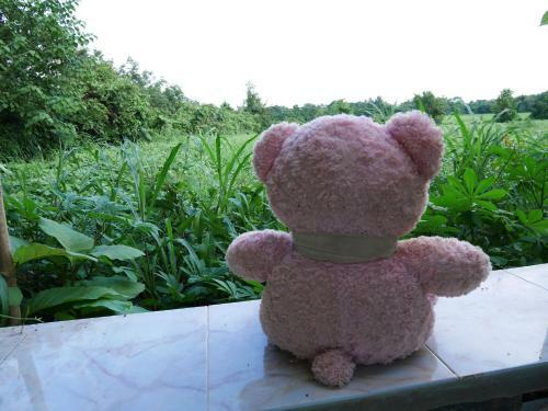 Loei Airport Homestay