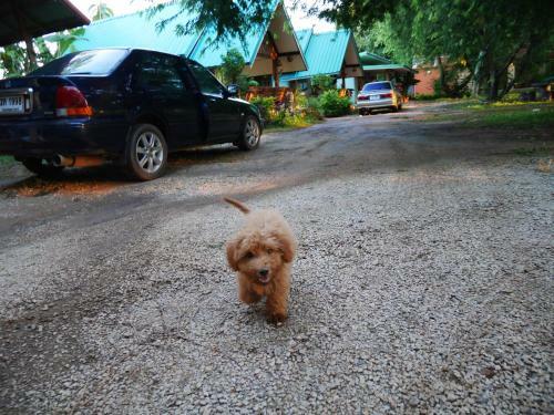 Loei Airport Homestay