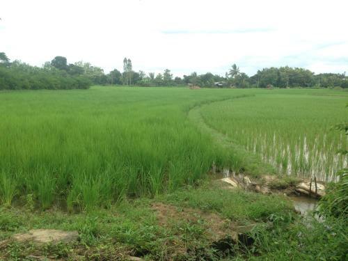 Loei Airport Homestay