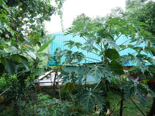 Loei Airport Homestay