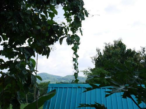 Loei Airport Homestay