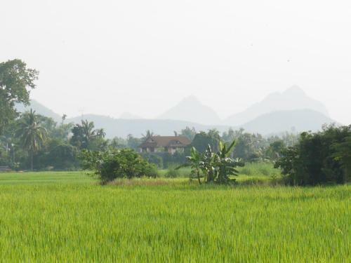 Loei Airport Homestay