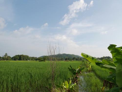 Loei Airport Homestay