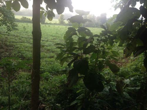 Loei Airport Homestay
