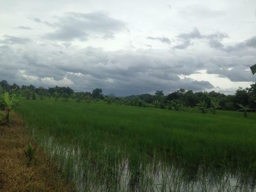 Loei Airport Homestay