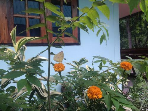 Loei Airport Homestay
