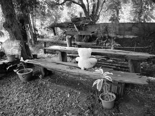 Loei Airport Homestay
