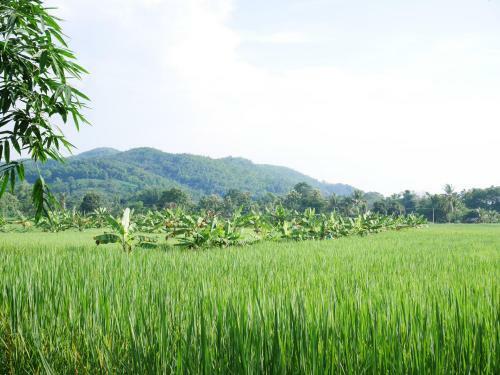 Loei Airport Homestay