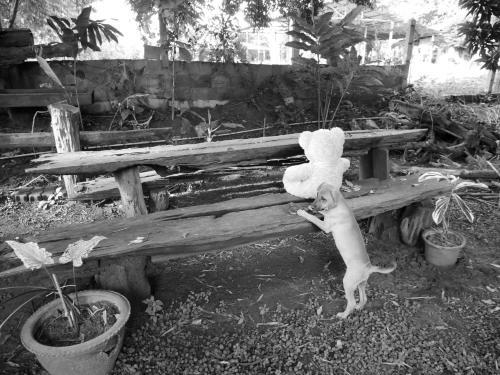 Loei Airport Homestay