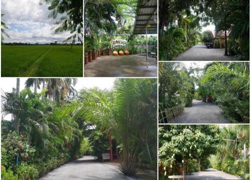 Hotel Baan Suan Palm Resort
