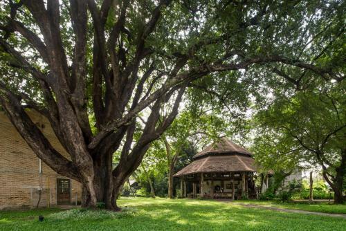 Hotel Kaomai Lanna Resort