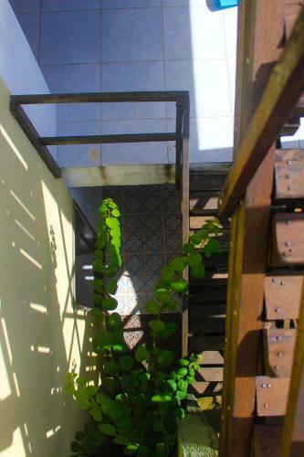 Jambudvipa Hostel