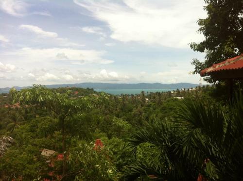 Hostal Venus Resort