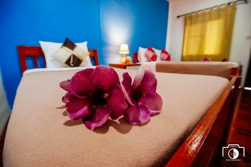 Hostal Venus Resort