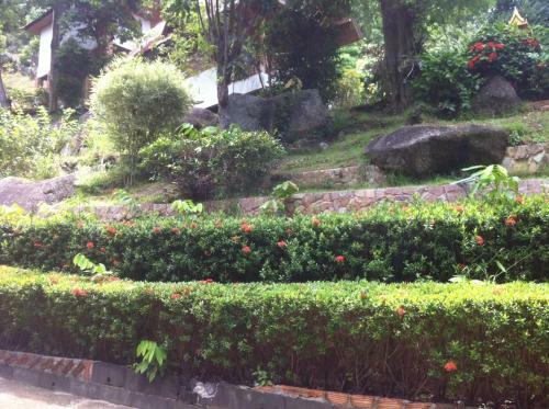 Hostal Venus Resort