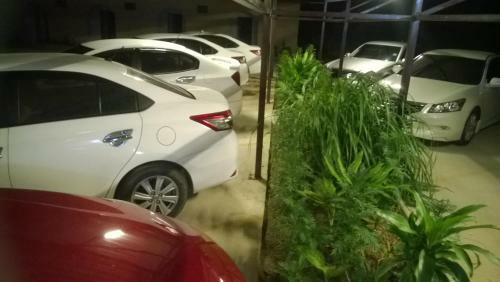 Hostal Banana Resort