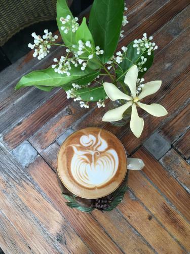 Hotel 515 Coffee & Resort