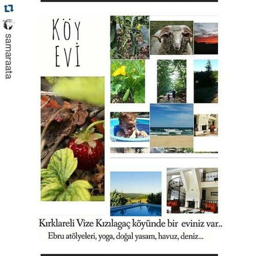 Agroturismo K�y Evi Country House