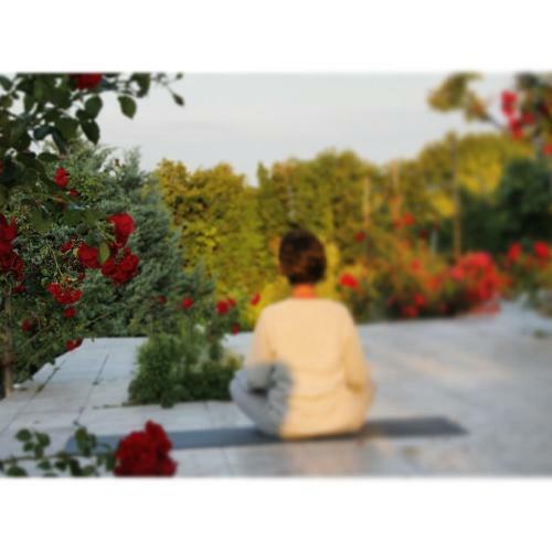 Agroturismo K�y Evi Country House
