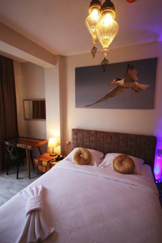 Hotel Lp Lag�n Palas