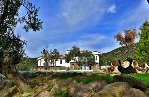 Hotel Merada Termal Tatil Koyu