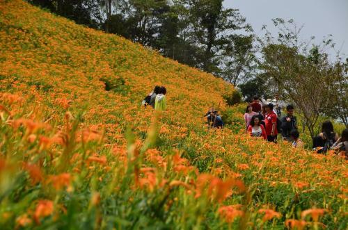 Qingshan Homestay