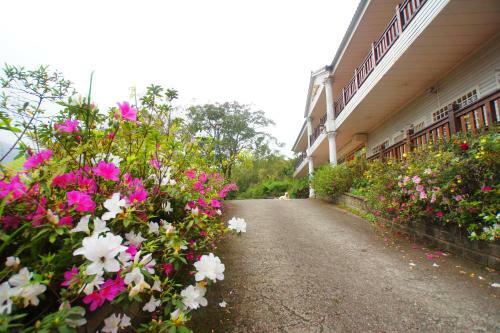 Bao Kang Flower Farm