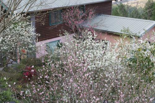 Old Farmer Homestay