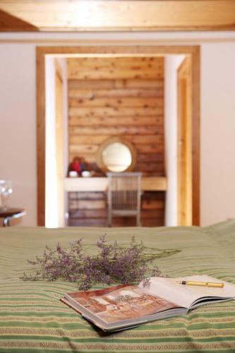 Country Story B&B