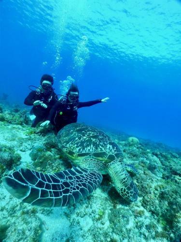 Stay Liuqiu Diving Hostel