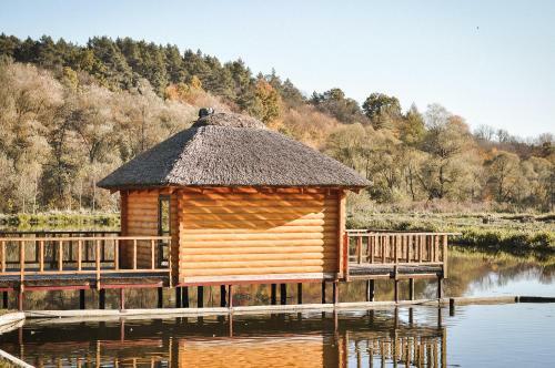 Lodge Forest House
